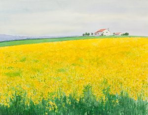 Aquarel, 50 x 60 cm.   €400,-