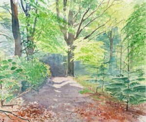 Aquarel, 50 x 60 cm.   €400,-